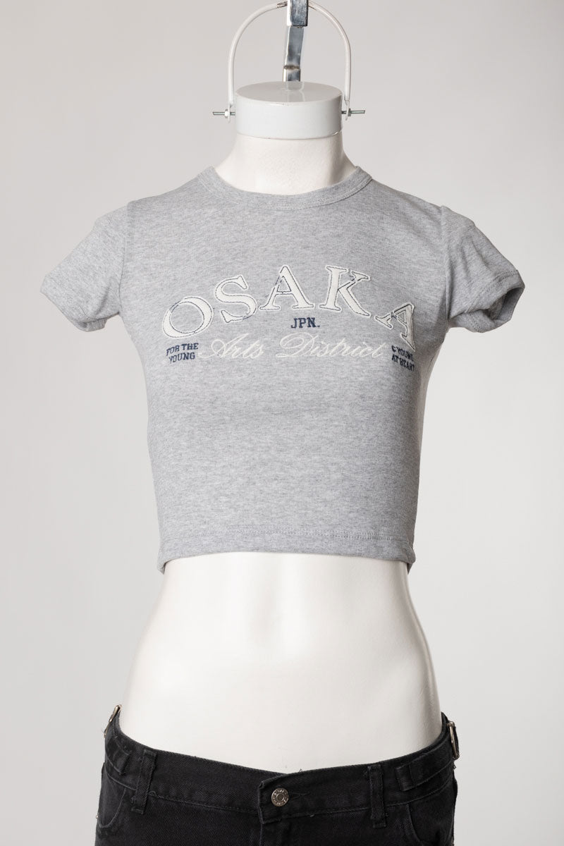 Remera ROOKIE - Gris Melange